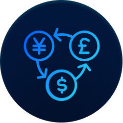 Hold multi-currency balances and eligible assets in one structure.